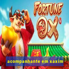 acompanhante em xaxim